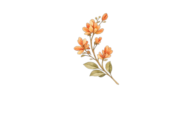 Decoration